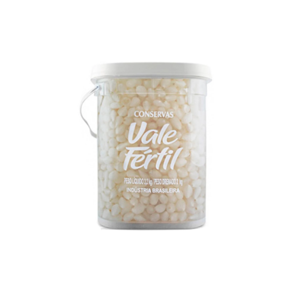 CEBOLINHA VALE FERTIL BL.2KG. REF-434