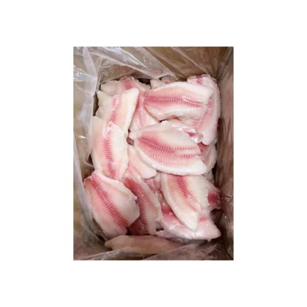 FILE TILAPIA CONG. SANDEVI CX.12X1KG. REF-1701